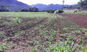 Imagem 4: Belíssima área de terra em Nova Petrópolis, RS