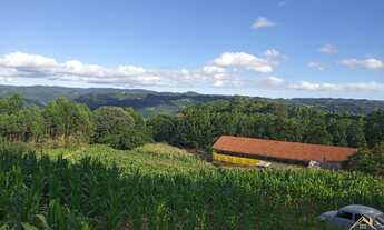 Imagem 2: Área de terra em Nova Petrópolis bairro Pinhal Alto
