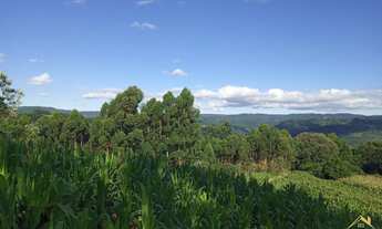 Imagem 5: Área de terra em Nova Petrópolis bairro Pinhal Alto