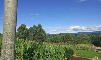 Imagem 6: Área de terra em Nova Petrópolis bairro Pinhal Alto