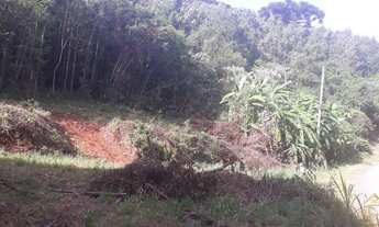 Imagem: Área de terra em Nova Petrópolis, bairro