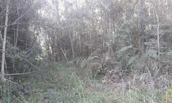 Imagem 2: Área de terra em Nova Petrópolis , bairro Nova Harmonia