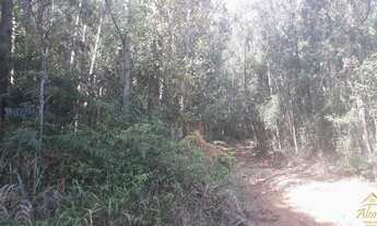 Imagem 3: Área de terra em Nova Petrópolis , bairro Nova Harmonia