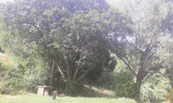 Imagem 4: Área de terra em Nova Petrópolis , bairro Nova Harmonia