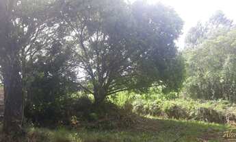 Imagem 7: Área de terra em Nova Petrópolis , bairro Nova Harmonia