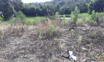 Imagem 2: Terreno em Picada Café, bairro Joaneta