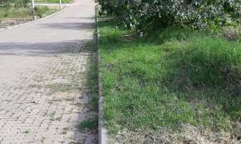 Imagem 3: Terreno em Picada Café, bairro Joaneta