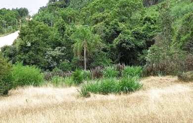 Imagem 5: Área de terras com 4320m².Bairro Bavária, Nova Petrópolis RS!