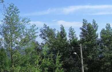 Imagem 5: Excelente Terreno. Bairro Bavária ,Nova Petrópolis RS!