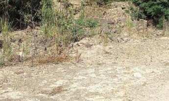 Imagem 6: Excelente Terreno. Bairro Bavária ,Nova Petrópolis RS!