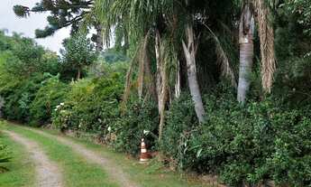 Imagem: Belíssimo Sítio com Nove Hectares. Bairro