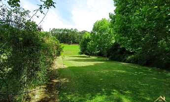 Imagem 6: Sítio Linha Cristo Rei, Morro Reuter RS