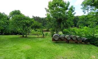 Imagem 7: Sítio Linha Cristo Rei, Morro Reuter RS