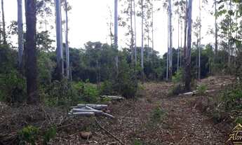 Imagem 6: Área de terra Linha Nova RS