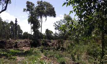 Imagem 7: Área de terra Linha Nova RS