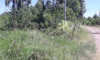 Imagem: Área de terra Linha Nova RS