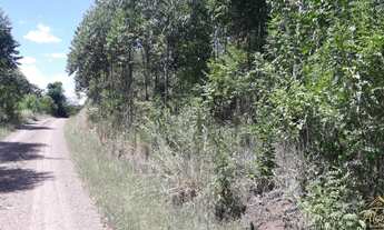 Imagem 2: Área de terra Linha Nova RS