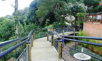 Imagem 5: Vista eterna para o vale!