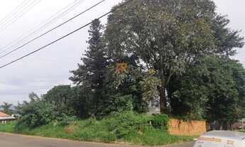 Imagem 6: Terreno Santo Afonso