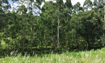 Imagem 3: Terreno com 4 Dormitorio(s) localizado(a) no bairro Lot. Residencial do Lago II em Dois I