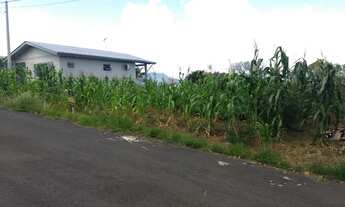 Imagem: Terreno com 2 Dormitorio(s) localizado(a)