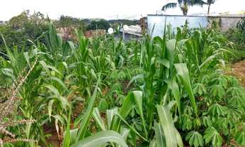 Imagem 7: Terreno com 2 Dormitorio(s) localizado(a) no bairro Santa Lucia em Campo Bom / Rio Grande