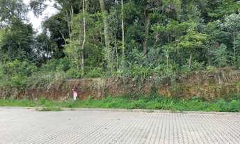 Imagem: TERRENO NO LOTEAMENTO SEBBEN EM FARROUPILHA