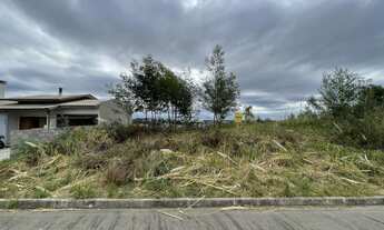 Imagem: Terreno para venda em Farroupilha confira