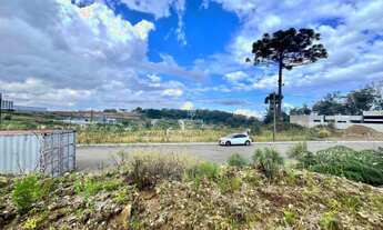 Imagem: Terreno à venda em Farroupilha - Loteamento