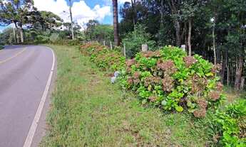 Imagem: Imóvel Área de Terra em Farroupilha disponível