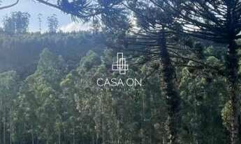 Imagem: Área de Terra à venda em São Vendelino