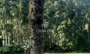 Imagem 2: Área de Terra à venda em São Vendelino, Linha General Neto