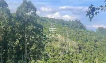 Imagem 3: Área de Terra à venda em São Vendelino, Linha General Neto