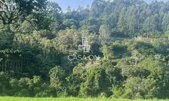 Imagem 5: Área de Terra à venda em São Vendelino, Linha General Neto