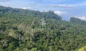 Imagem 6: Área de Terra à venda em São Vendelino, Linha General Neto