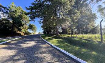 Imagem 3: Terreno à venda em Farroupilha, no bairro Parque dos Pinheiros
