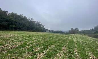 Imagem 3: Oportunidade: Área de Terra em Caxias do Sul, Forqueta