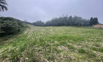 Imagem 6: Oportunidade: Área de Terra em Caxias do Sul, Forqueta