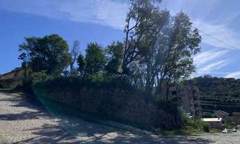 Imagem 6: Terreno à venda em Bento Gonçalves - Bairro Universitário