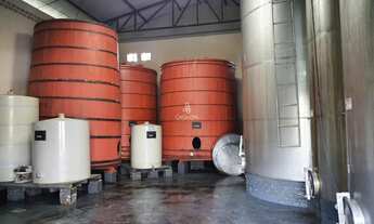 Imagem 3: Chácara com 3 Dormitorio(s) localizado(a) no bairro Linha São José em FARROUPILHA / Rio G