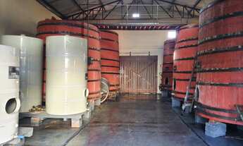 Imagem 5: Chácara com 3 Dormitorio(s) localizado(a) no bairro Linha São José em FARROUPILHA / Rio G