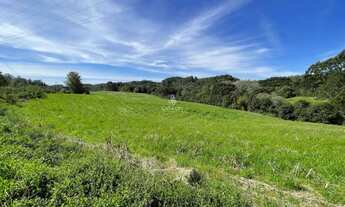 Imagem 2: Oportunidade: Área de Terra em Farroupilha, Linha Julieta