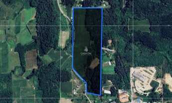 Imagem 6: Oportunidade: Área de Terra em Farroupilha, Linha Julieta