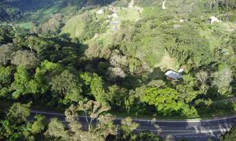 Imagem 6: Chácara à venda em Farroupilha, Nova Milano