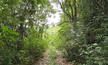Imagem: Terreno à venda em Monte Belo do Sul