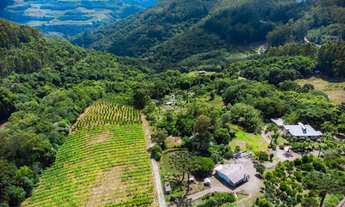 Imagem: Oportunidade Área de Terra em Farroupilha