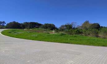 Imagem 2: TERRENO NO LOTEAMENTO SEBEN - FARROUPILHA