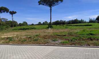 Imagem 3: TERRENO NO LOTEAMENTO SEBEN - FARROUPILHA