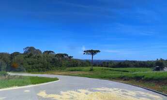 Imagem 6: TERRENO NO LOTEAMENTO SEBEN - FARROUPILHA