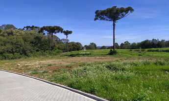 Imagem 4: TERRENO NO LOTEAMENTO SEBEN - FARROUPILHA